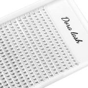 DORA 8D POINTY BASE FANS LARGE TRAY 320 FANS - DORA LASH